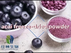 Порошок ягоды Acai
